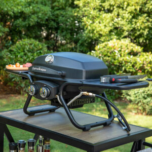 Tabletop Propane Grill with 2 Stainless Steel Burner-Captiva Designs